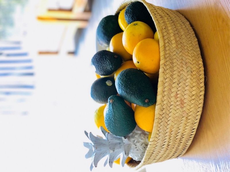 How To Keep Fruit Fresher For Longer Twisted Citrus